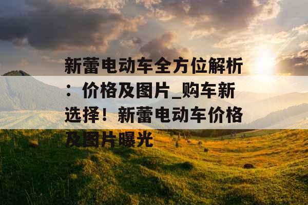 新蕾电动车全方位解析：价格及图片_购车新选择！新蕾电动车价格及图片曝光