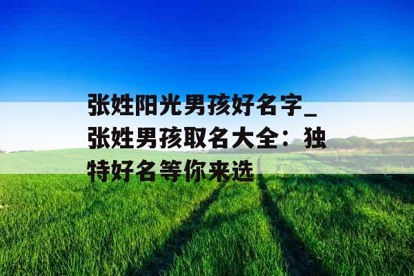 张姓阳光男孩好名字_张姓男孩取名大全：独特好名等你来选
