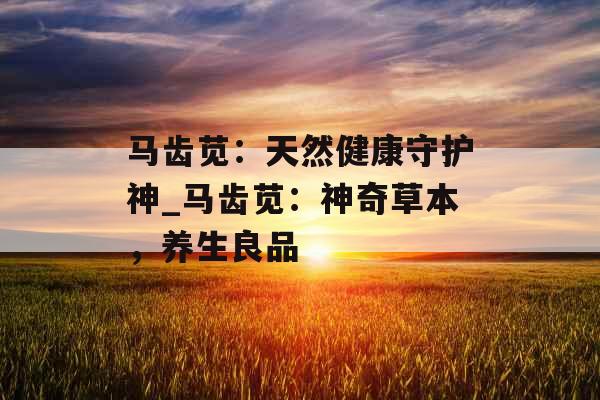 马齿苋：天然健康守护神_马齿苋：神奇草本，养生良品