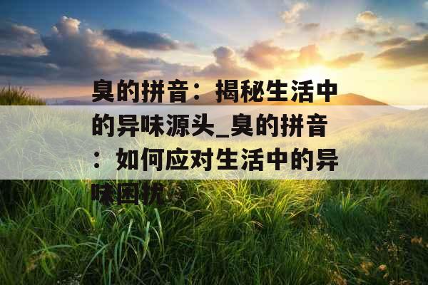 臭的拼音：揭秘生活中的异味源头_臭的拼音：如何应对生活中的异味困扰