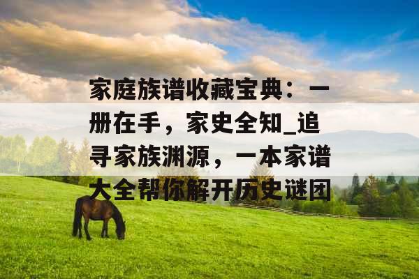 家庭族谱收藏宝典：一册在手，家史全知_追寻家族渊源，一本家谱大全帮你解开历史谜团