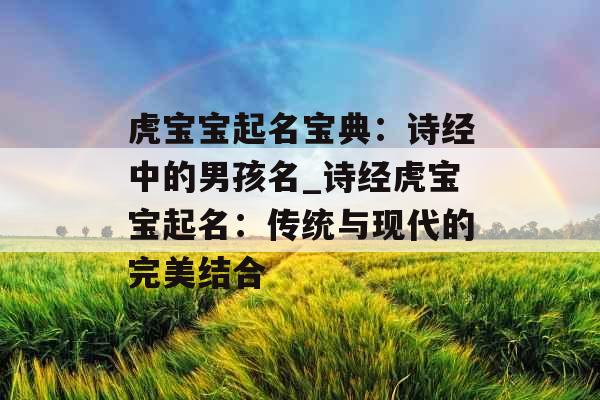 虎宝宝起名宝典：诗经中的男孩名_诗经虎宝宝起名：传统与现代的完美结合