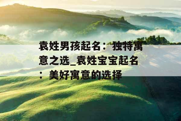 袁姓男孩起名：独特寓意之选_袁姓宝宝起名：美好寓意的选择