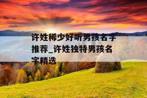 许姓稀少好听男孩名字推荐_许姓独特男孩名字精选