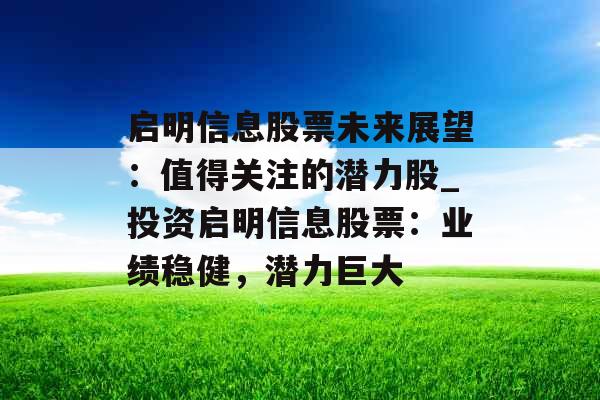 启明信息股票未来展望：值得关注的潜力股_投资启明信息股票：业绩稳健，潜力巨大