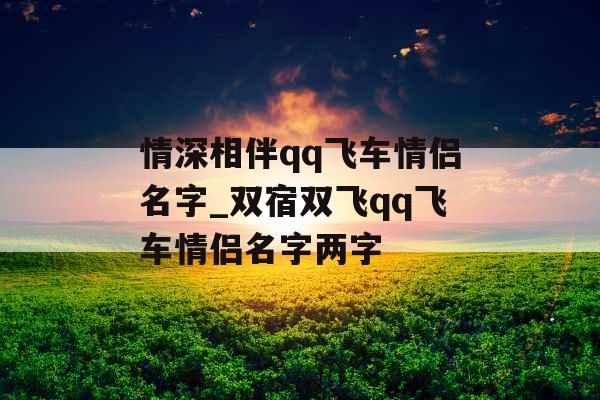 情深相伴qq飞车情侣名字_双宿双飞qq飞车情侣名字两字