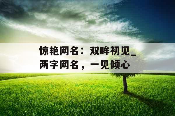 惊艳网名：双眸初见_两字网名，一见倾心