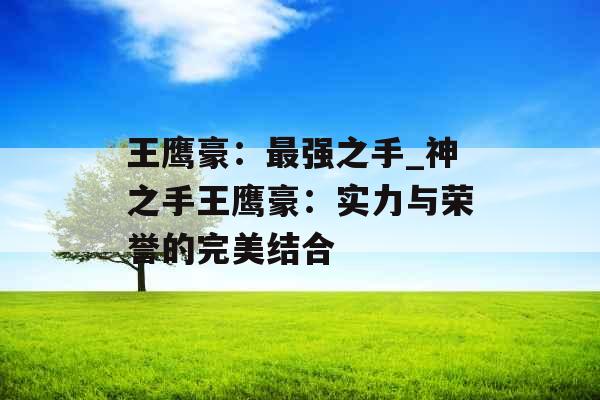 王鹰豪：最强之手_神之手王鹰豪：实力与荣誉的完美结合