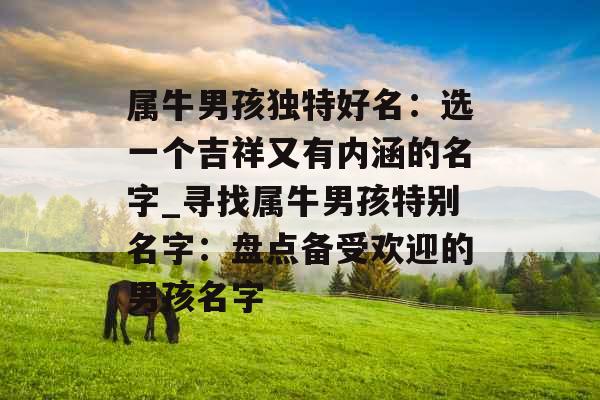 属牛男孩独特好名：选一个吉祥又有内涵的名字_寻找属牛男孩特别名字：盘点备受欢迎的男孩名字