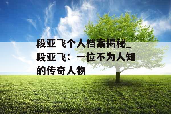 段亚飞个人档案揭秘_段亚飞：一位不为人知的传奇人物