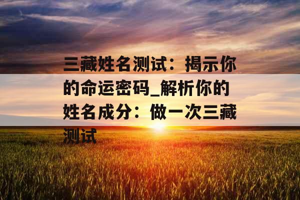 三藏姓名测试：揭示你的命运密码_解析你的姓名成分：做一次三藏测试