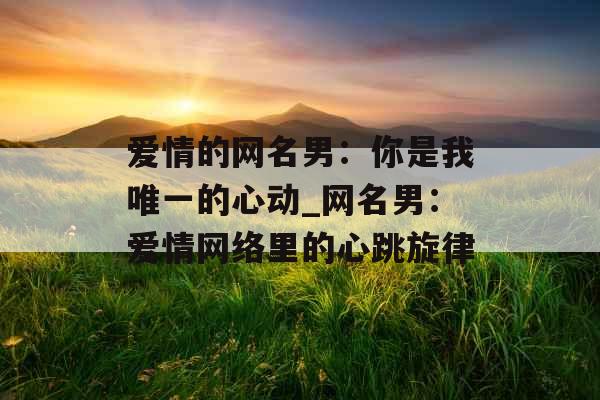爱情的网名男：你是我唯一的心动_网名男：爱情网络里的心跳旋律