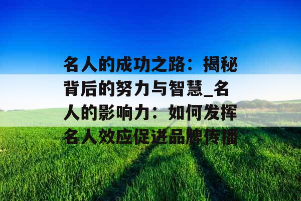 名人的成功之路：揭秘背后的努力与智慧_名人的影响力：如何发挥名人效应促进品牌传播