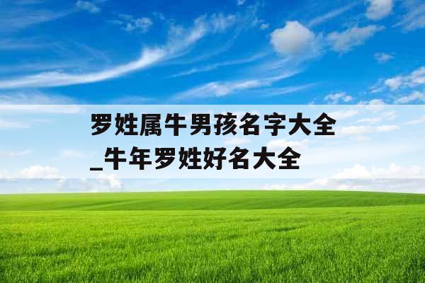 罗姓属牛男孩名字大全_牛年罗姓好名大全