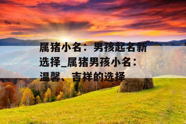属猪小名：男孩起名新选择_属猪男孩小名：温馨、吉祥的选择