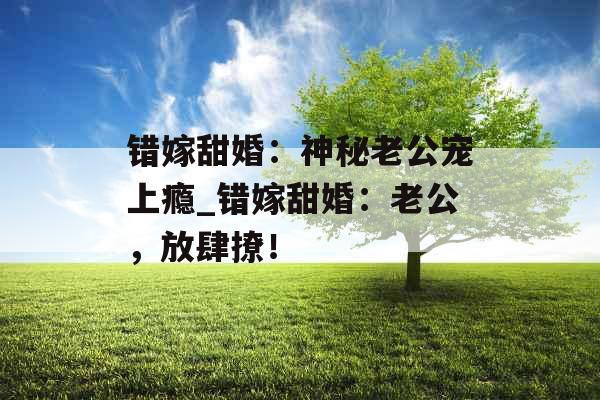 错嫁甜婚：神秘老公宠上瘾_错嫁甜婚：老公，放肆撩！