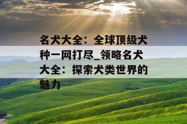 名犬大全：全球顶级犬种一网打尽_领略名犬大全：探索犬类世界的魅力