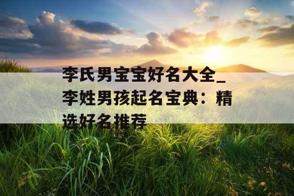 李氏男宝宝好名大全_李姓男孩起名宝典：精选好名推荐