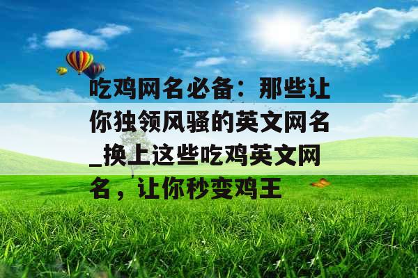 吃鸡网名必备：那些让你独领风骚的英文网名_换上这些吃鸡英文网名，让你秒变鸡王