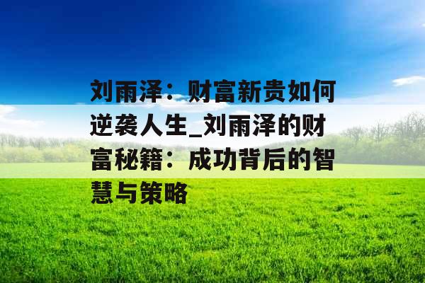 刘雨泽：财富新贵如何逆袭人生_刘雨泽的财富秘籍：成功背后的智慧与策略