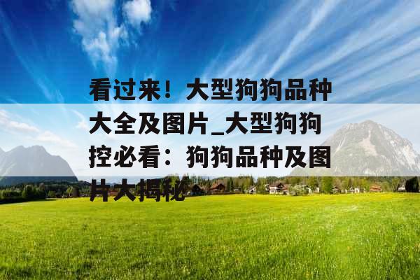 看过来！大型狗狗品种大全及图片_大型狗狗控必看：狗狗品种及图片大揭秘