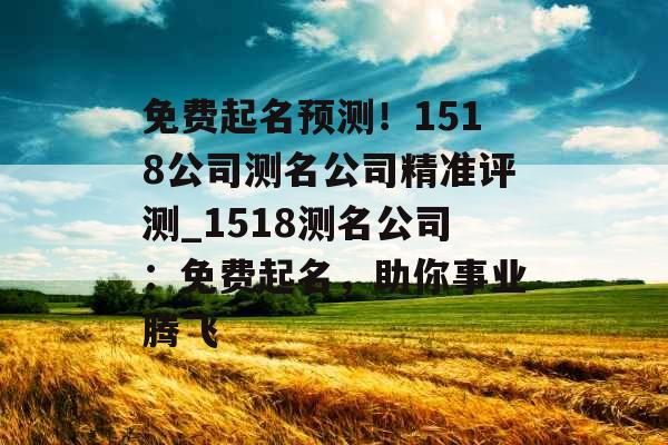 免费起名预测！1518公司测名公司精准评测_1518测名公司：免费起名，助你事业腾飞
