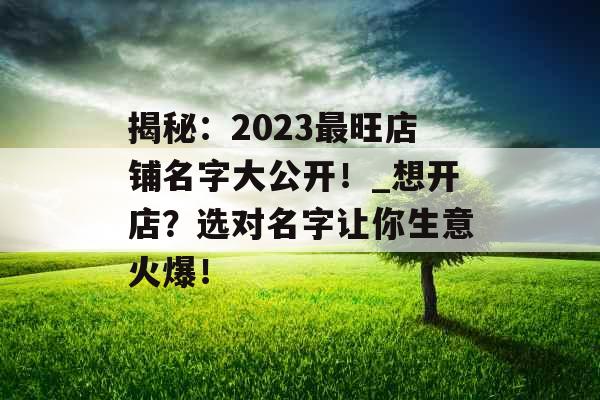 揭秘：2023最旺店铺名字大公开！_想开店？选对名字让你生意火爆！