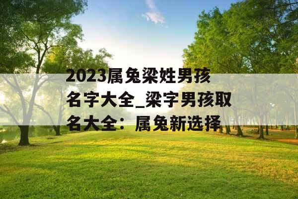 2023属兔梁姓男孩名字大全_梁字男孩取名大全:属兔新选择