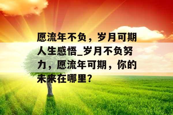 愿流年不负，岁月可期人生感悟_岁月不负努力，愿流年可期，你的未来在哪里？