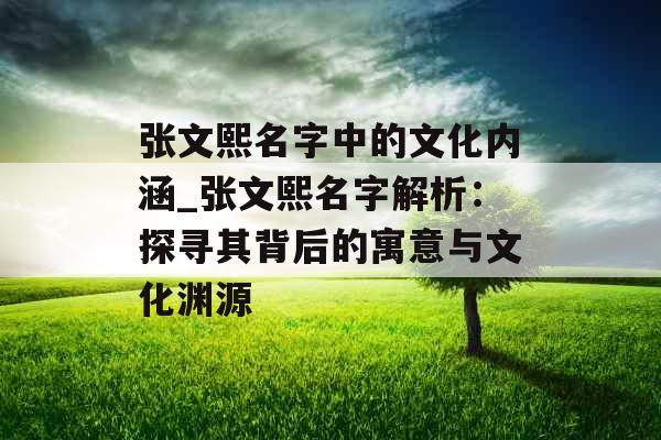 张文熙名字中的文化内涵_张文熙名字解析：探寻其背后的寓意与文化渊源