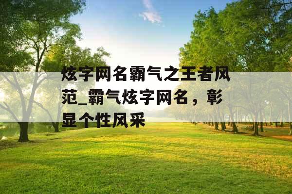 炫字网名霸气之王者风范_霸气炫字网名，彰显个性风采