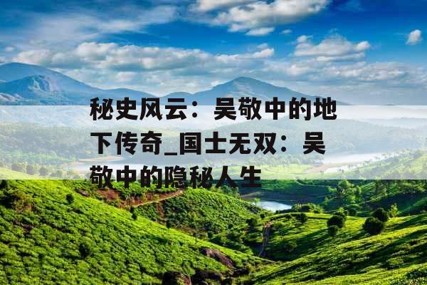 秘史风云：吴敬中的地下传奇_国士无双：吴敬中的隐秘人生