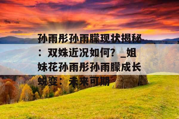 孙雨彤孙雨朦现状揭秘：双姝近况如何？_姐妹花孙雨彤孙雨朦成长蜕变：未来可期