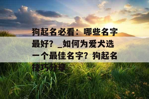 狗起名必看：哪些名字最好？_如何为爱犬选一个最佳名字？狗起名技巧分享
