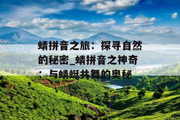蜻拼音之旅：探寻自然的秘密_蜻拼音之神奇：与蜻蜓共舞的奥秘
