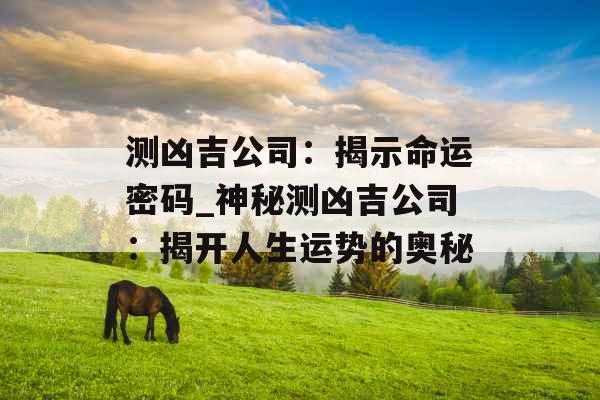 测凶吉公司：揭示命运密码_神秘测凶吉公司：揭开人生运势的奥秘