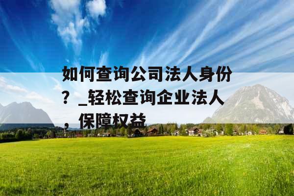 如何查询公司法人身份？_轻松查询企业法人，保障权益