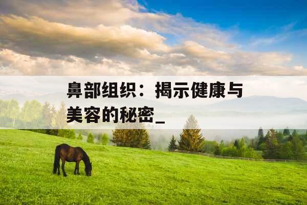 鼻部组织:揭示健康与美容的秘密_ 鼻部组织:揭示健康与美容的秘密_