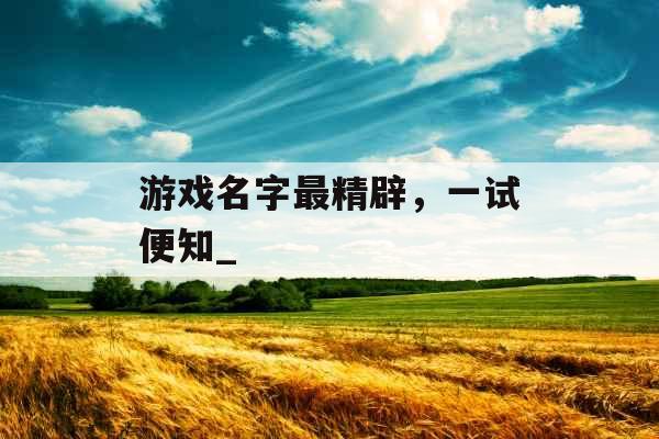 游戏名字最精辟，一试便知_