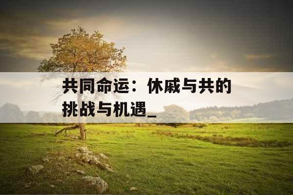 共同命运：休戚与共的挑战与机遇_