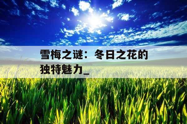 雪梅之谜：冬日之花的独特魅力_