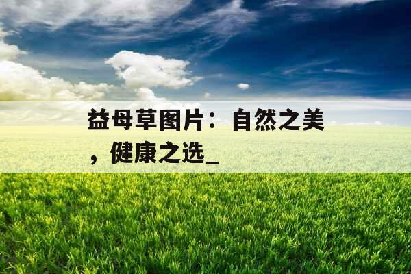 益母草图片:自然之美,健康之选_ 益母草图片:自然之美,健康之选_