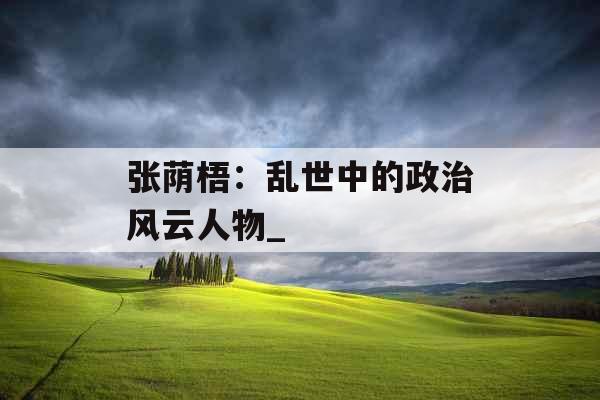 张荫梧：乱世中的政治风云人物_