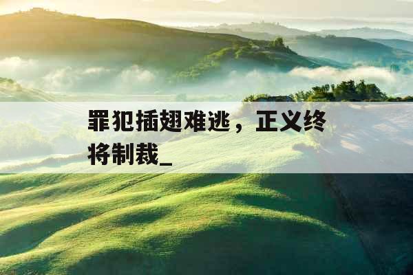 罪犯插翅难逃,正义终将制裁_ 罪犯插翅难逃,正义终将制裁_