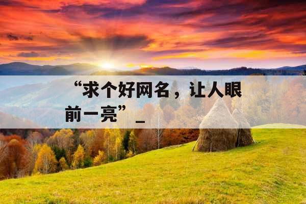 “求个好网名，让人眼前一亮”_