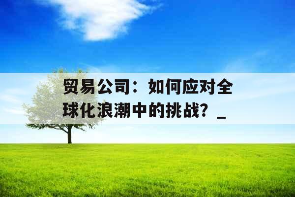 贸易公司：如何应对全球化浪潮中的挑战？_