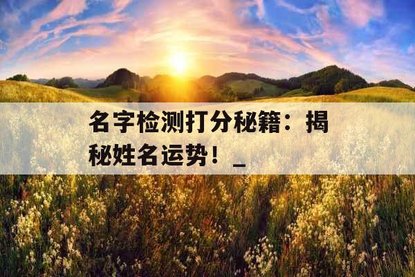 名字检测打分秘籍:揭秘姓名运势!_ 名字检测打分秘籍:揭秘姓名运势!_