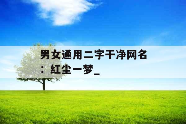 男女通用二字干净网名：红尘一梦_