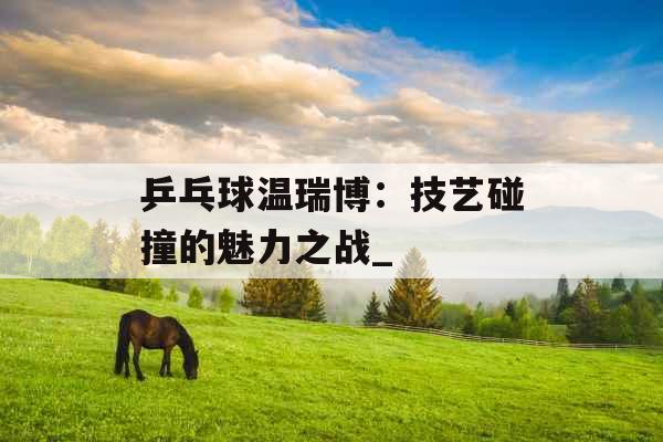 乒乓球温瑞博：技艺碰撞的魅力之战_