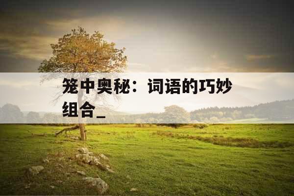 笼中奥秘：词语的巧妙组合_
